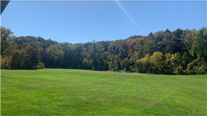 Main Field at Carlson's Grove