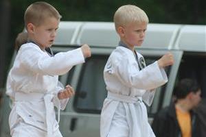Boys in Karate Pose