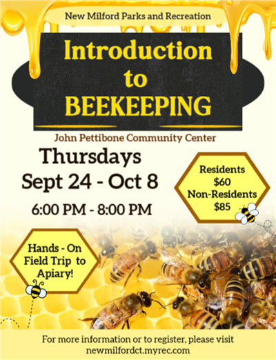 bee