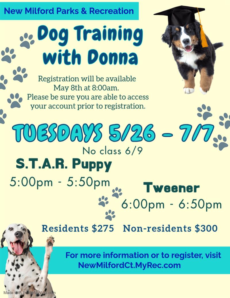 dog training