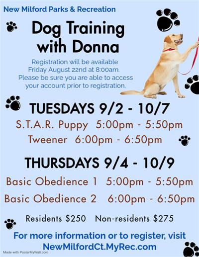 dog training